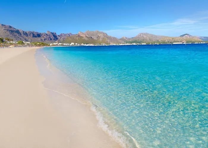 Fullos De Na Torres By Vintage Travel